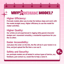 Load image into Gallery viewer, Premade Chibi VTuber Model-2